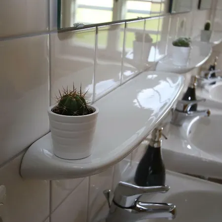 Berg Blick Mit Hostel Kochel am See